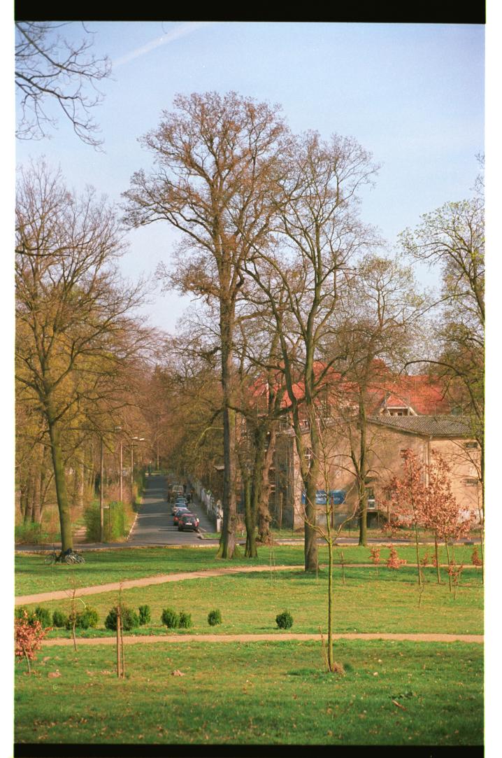 Ostern003